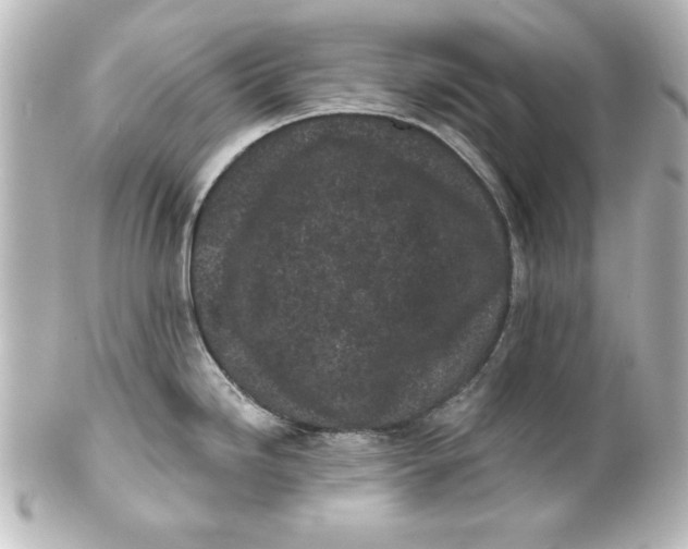 X0000101421246200807280930