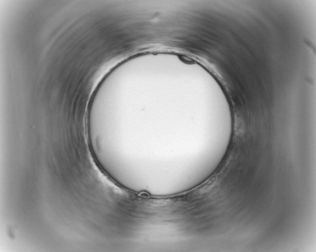 X0000101421247200807280930
