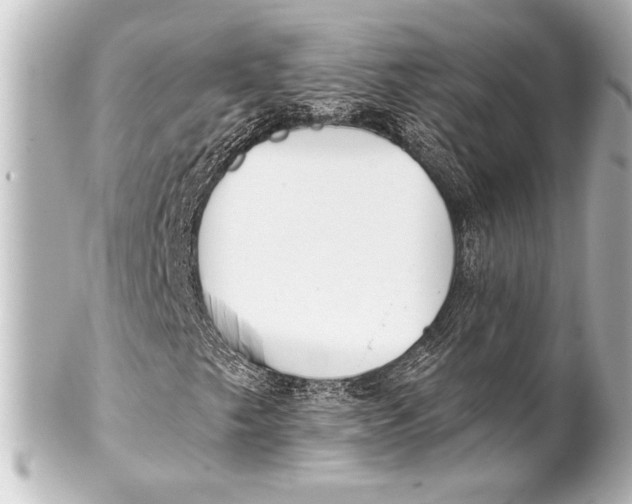 X0000101421249200807280930