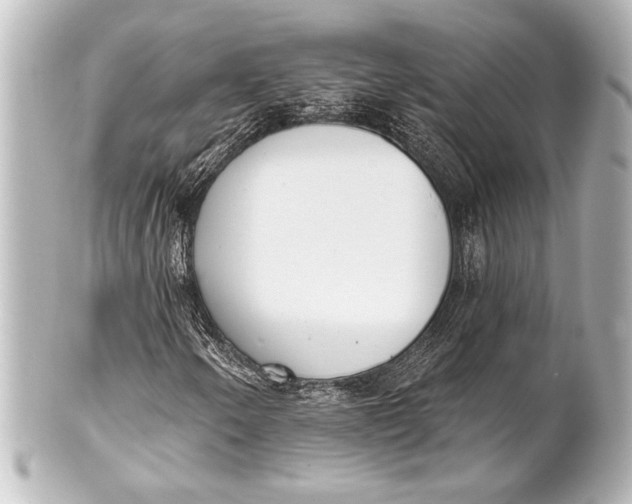 X0000101421250200807280930