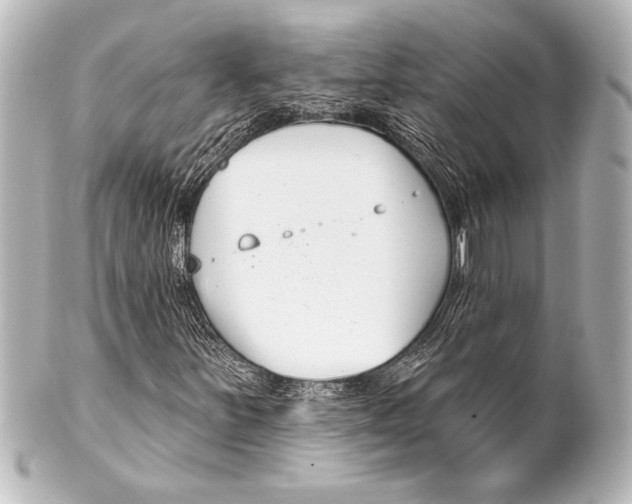 X0000101421251200807280930