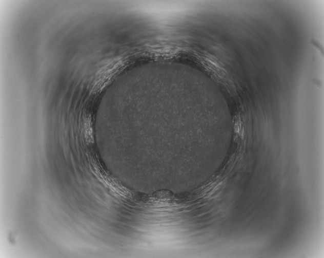 X0000101421252200807280930