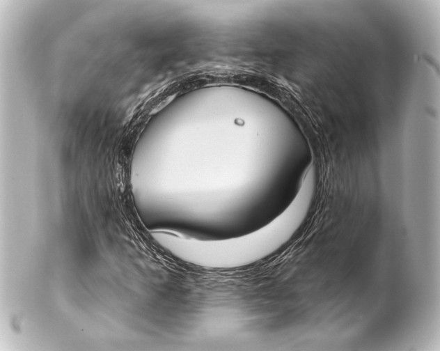 X0000101421253200807280930