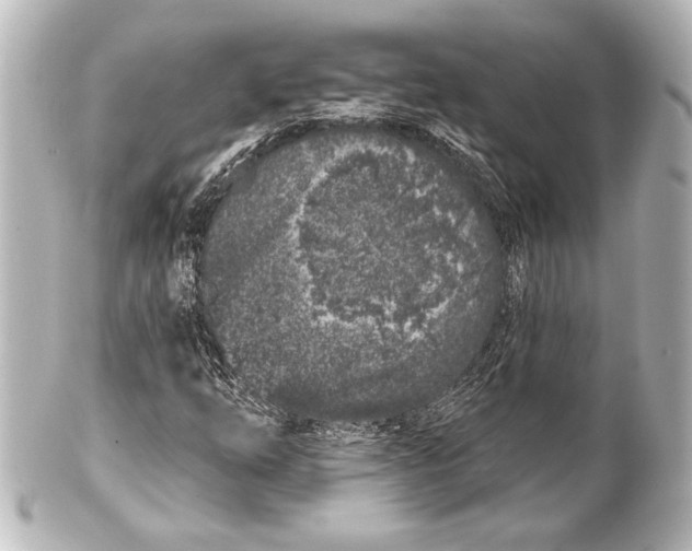X0000101421254200807280930