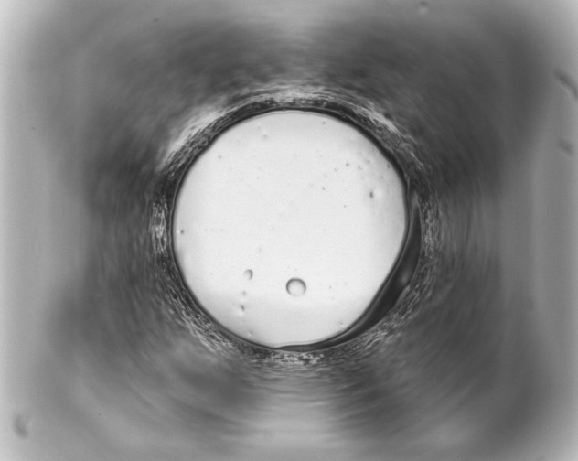 X0000101421255200807280930