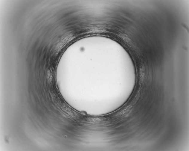 X0000101421257200807280929