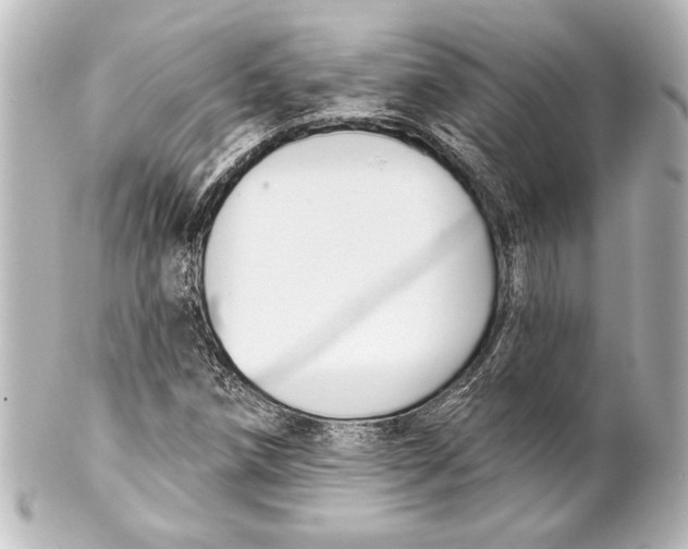 X0000101421258200807280929