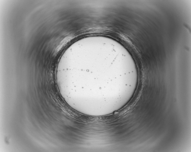 X0000101421259200807280929