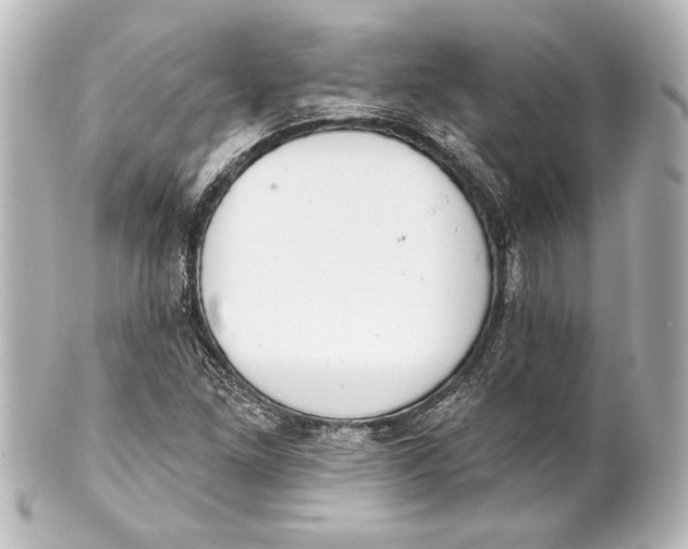 X0000101421261200807280929