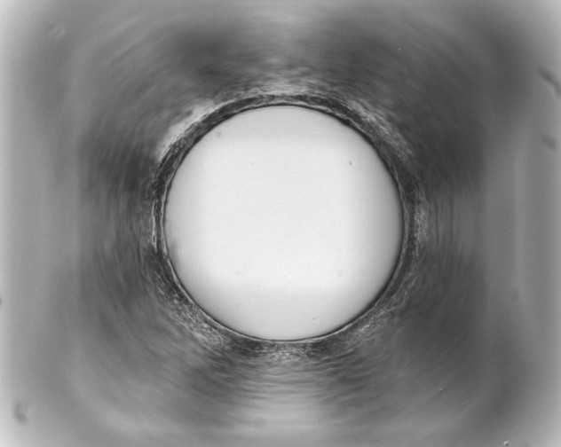 X0000101421262200807280929