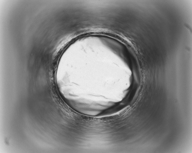 X0000101421263200807280929