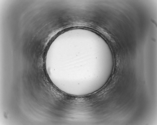 X0000101421264200807280929