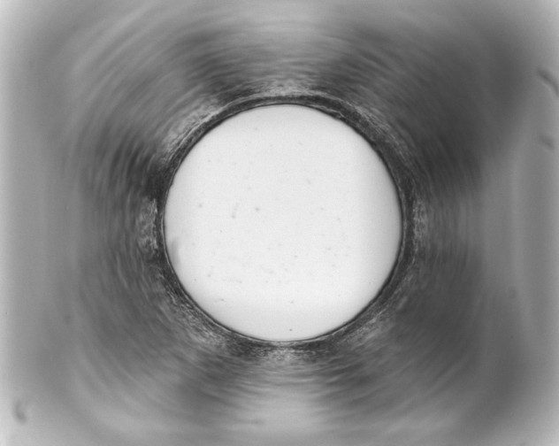 X0000101421265200807280929