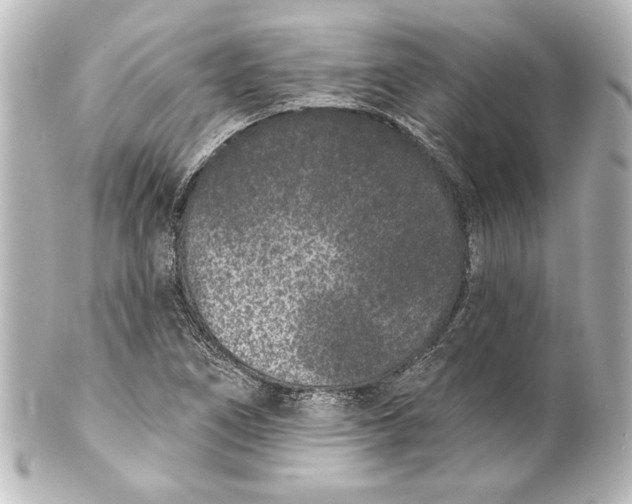 X0000101421266200807280929