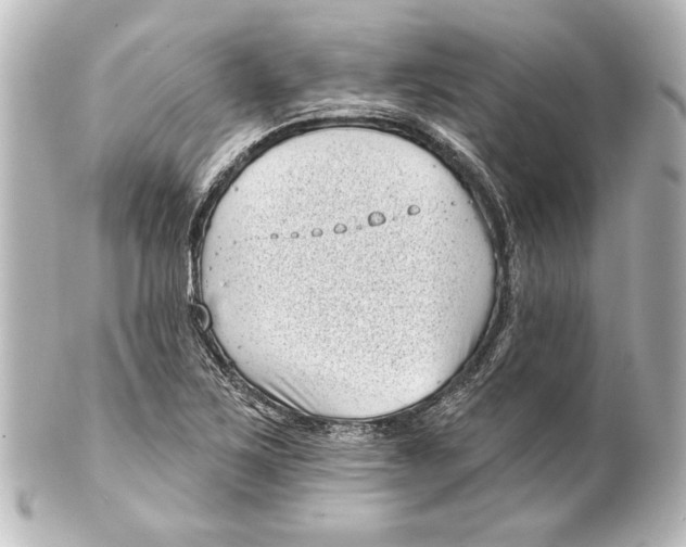 X0000101421267200807280929