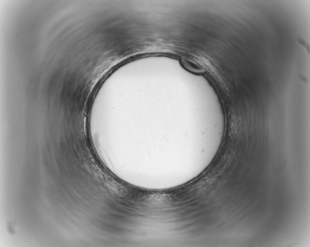 X0000101421268200807280929
