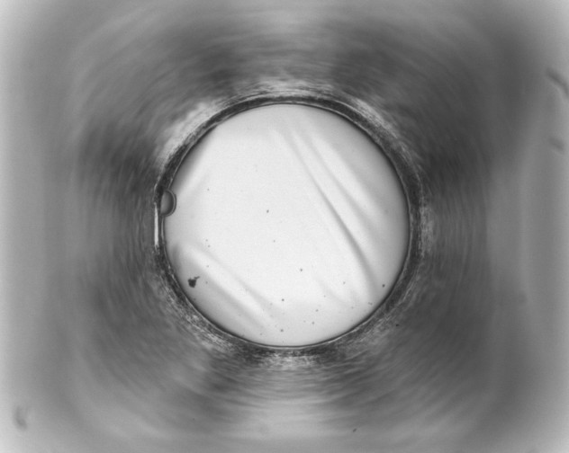 X0000101421269200807280929