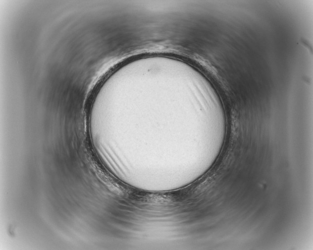 X0000101421270200807280929
