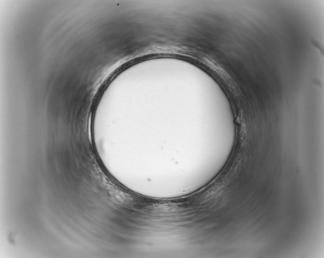 X0000101421272200807280929