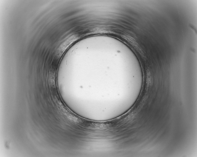 X0000101421273200807280929