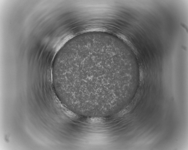 X0000101421274200807280929