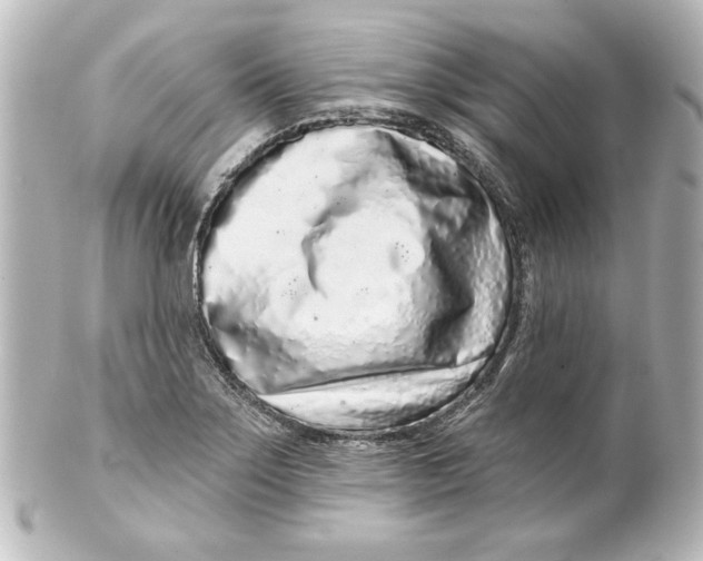 X0000101421275200807280929