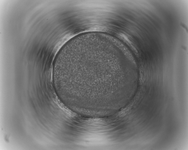 X0000101421276200807280929