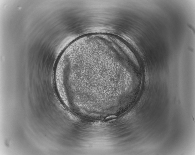 X0000101421277200807280929