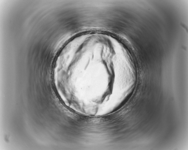 X0000101421279200807280929