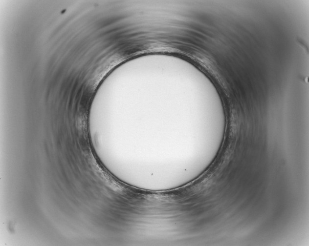 X0000101421281200807280929