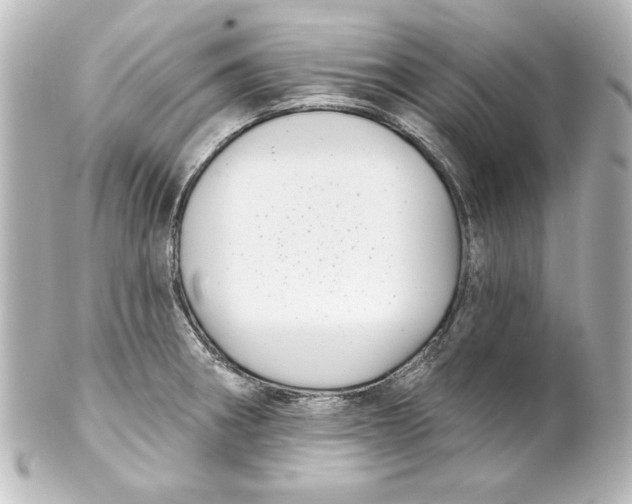 X0000101421282200807280929