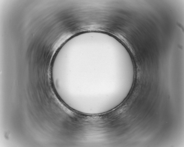 X0000101421285200807280929