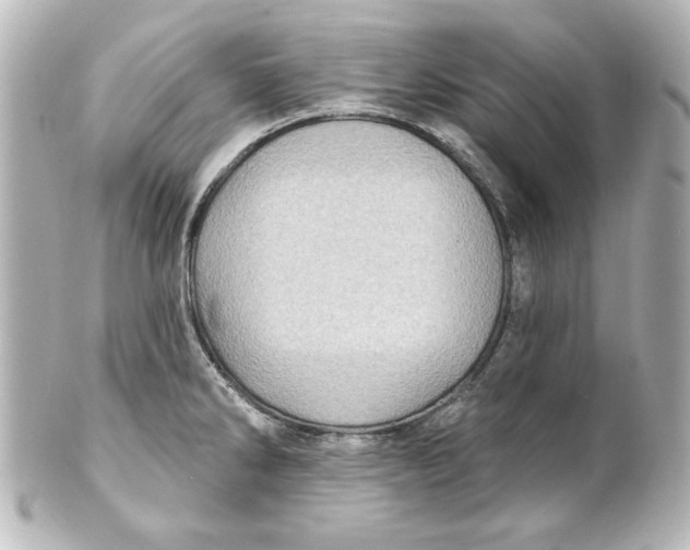 X0000101421286200807280929