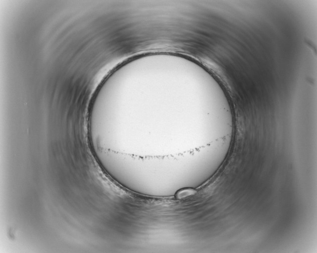 X0000101421288200807280929