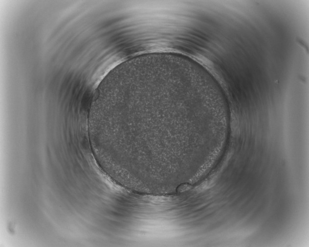 X0000101421289200807280929