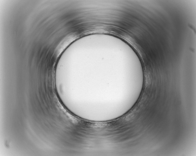 X0000101421290200807280929