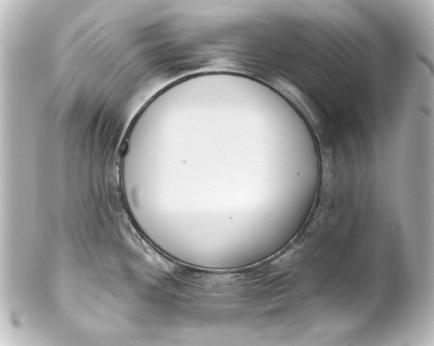 X0000101421292200807280929