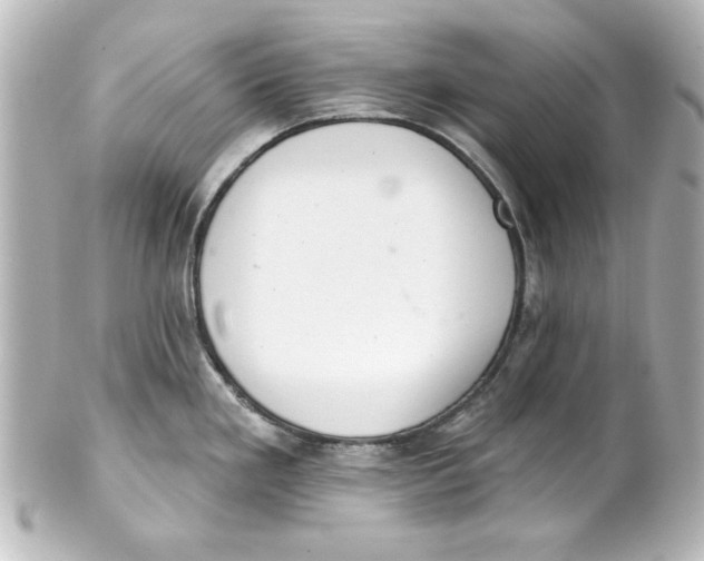 X0000101421293200807280929