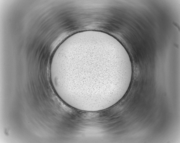 X0000101421294200807280929