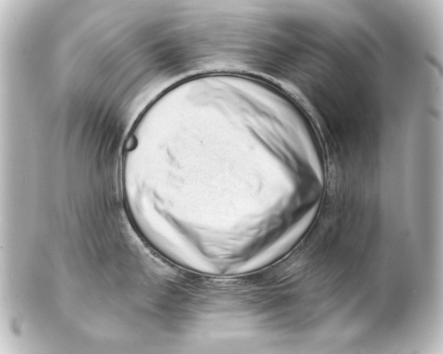 X0000101421295200807280929
