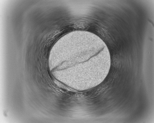 X0000101421297200807280928