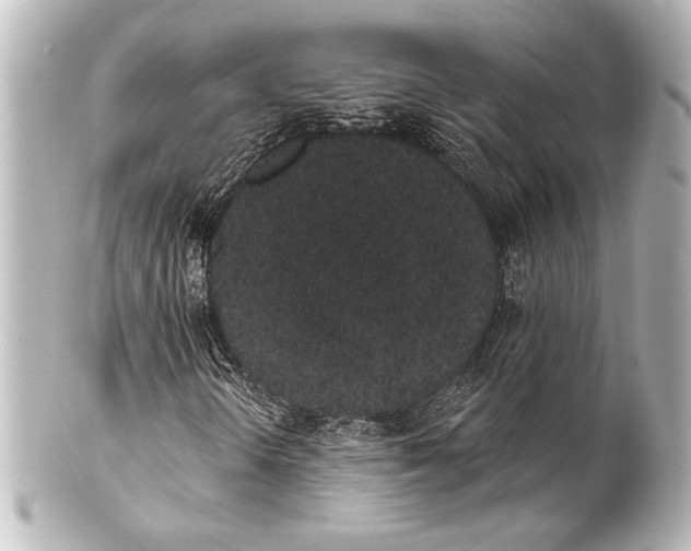 X0000101421298200807280928