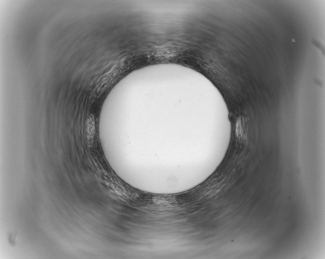 X0000101421299200807280928