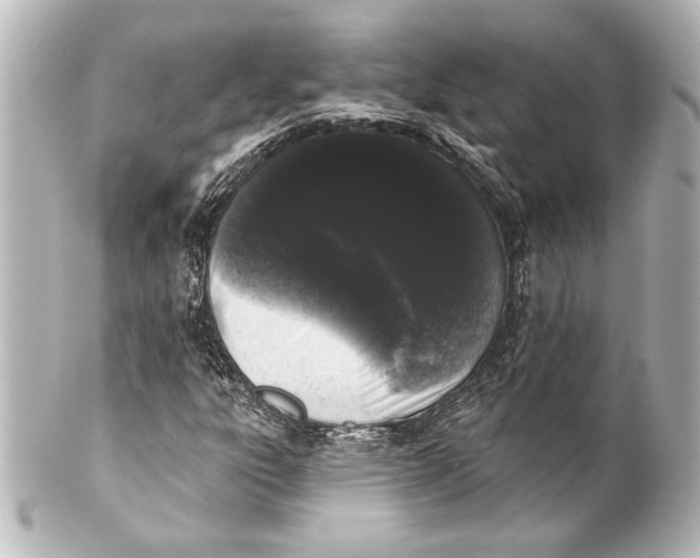 X0000101421303200807280928