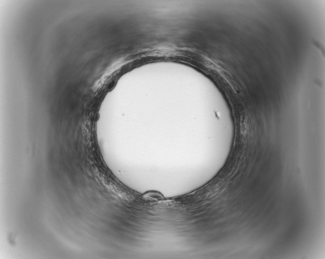 X0000101421304200807280928