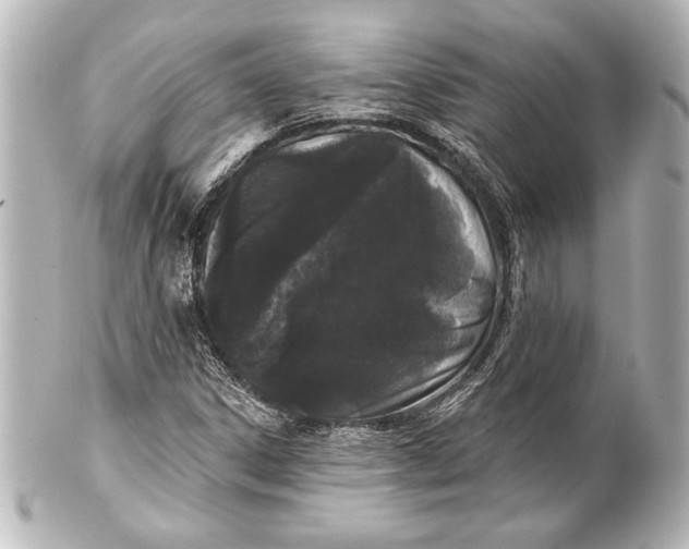 X0000101421306200807280928
