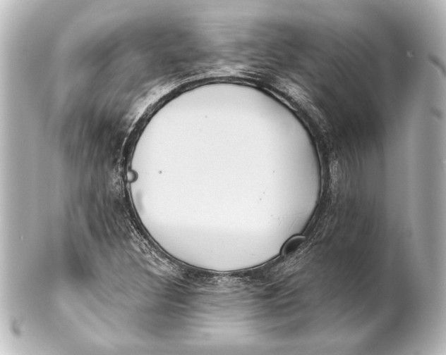 X0000101421308200807280928