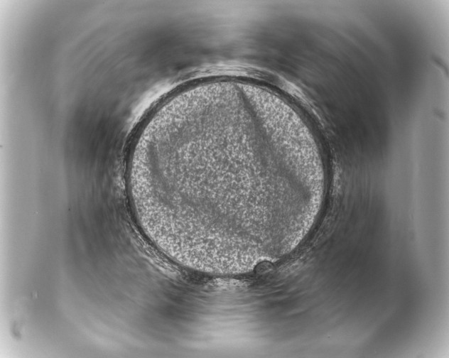 X0000101421312200807280929