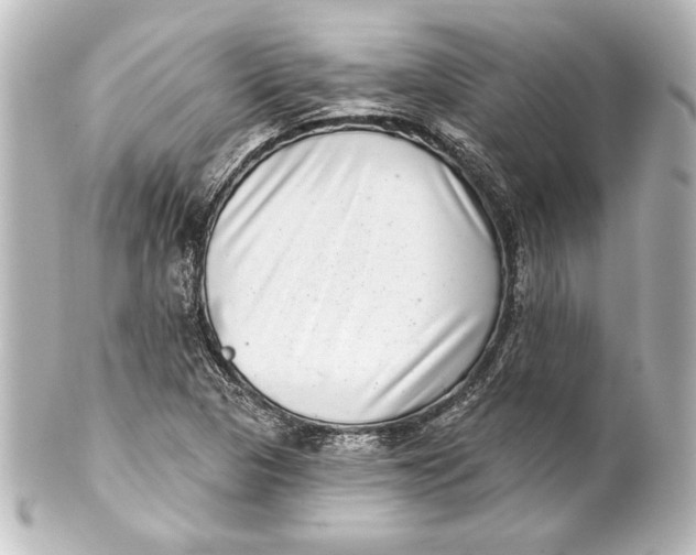 X0000101421313200807280929