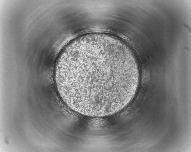 X0000101421314200807280929